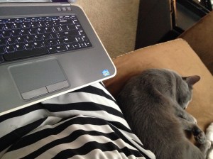 Luca finally gave in to snuggling next to me